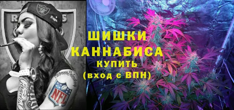 Каннабис OG Kush  Велиж 